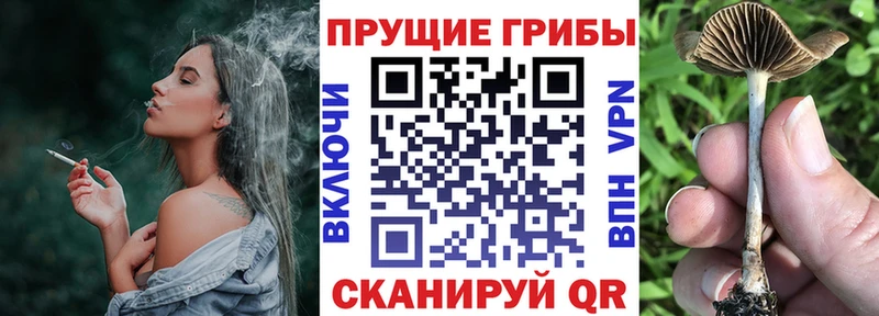 Галлюциногенные грибы мухоморы  Ухта 